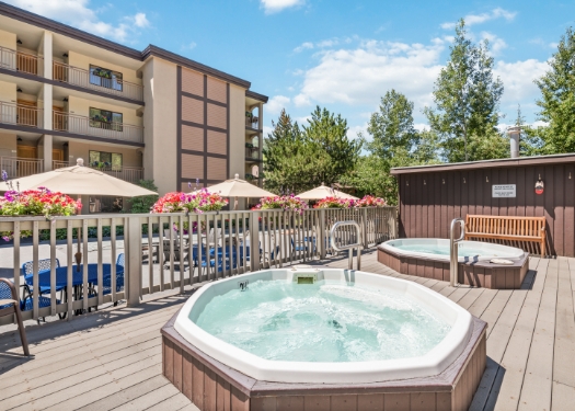 53053061883_aca61af3ef_o